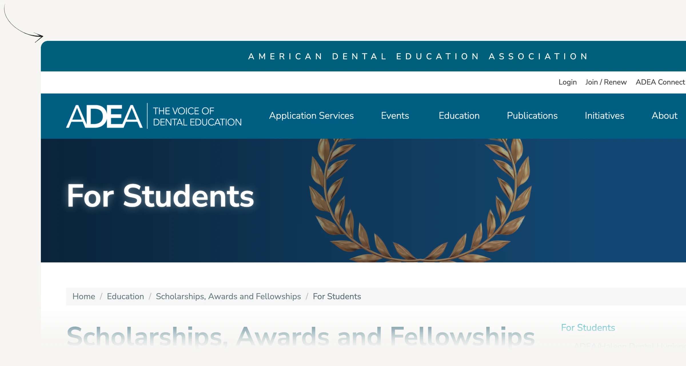 ADEA predoctoral dental scholarships with award and cycle information