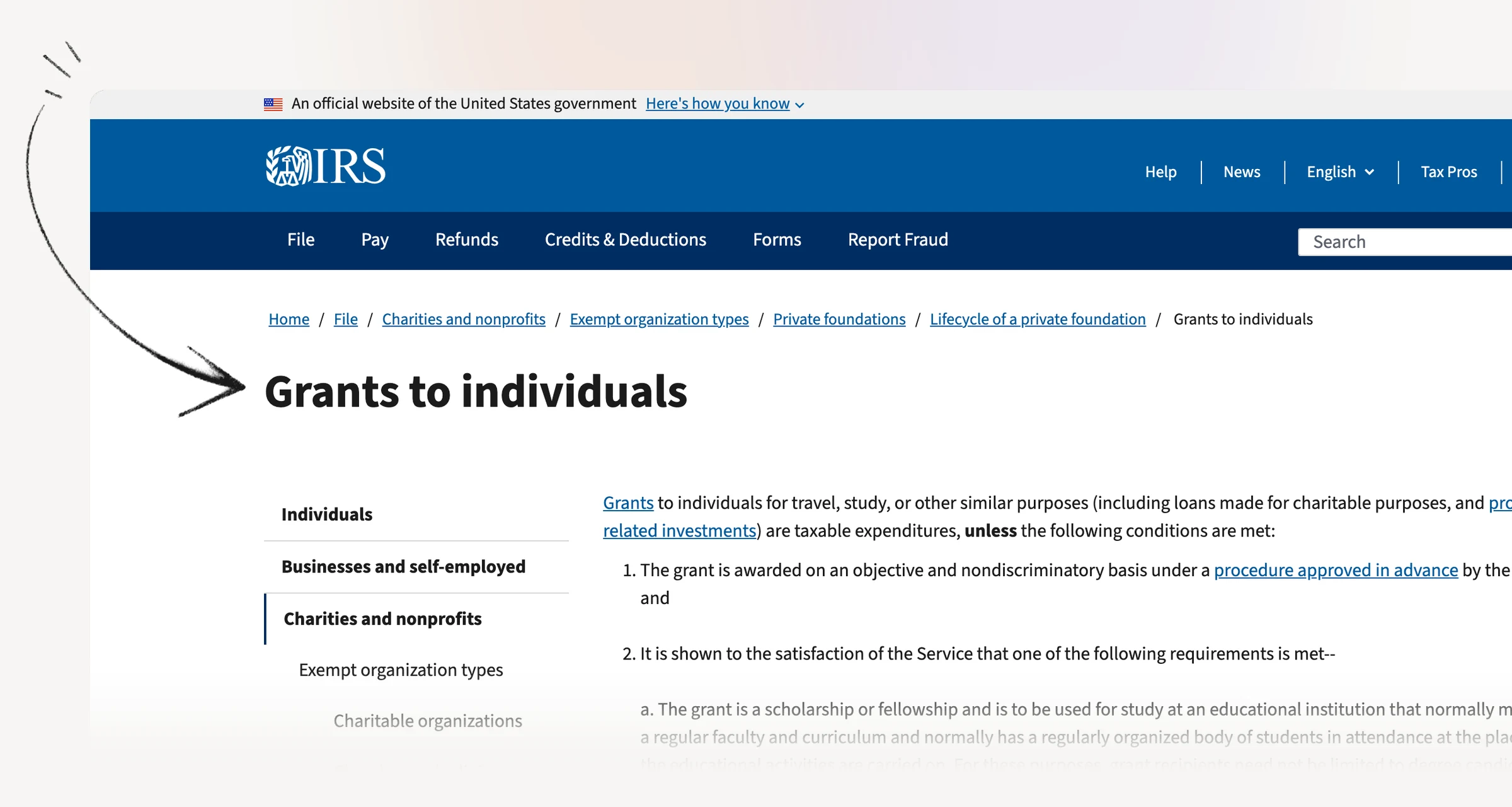 IRS guidance on private-foundation grants to individuals.