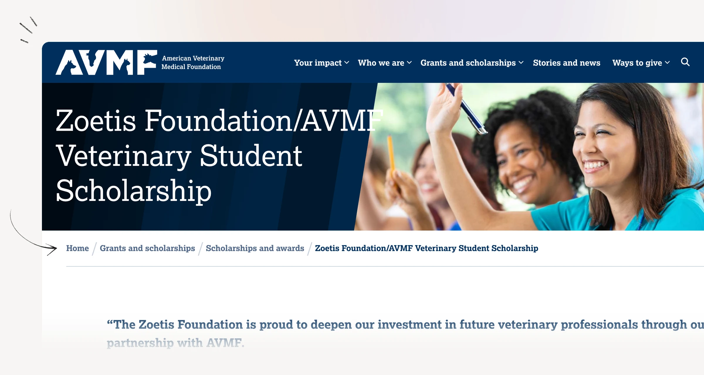 AVMF Zoetis veterinary student scholarship showing degree-stage requirements and dates.