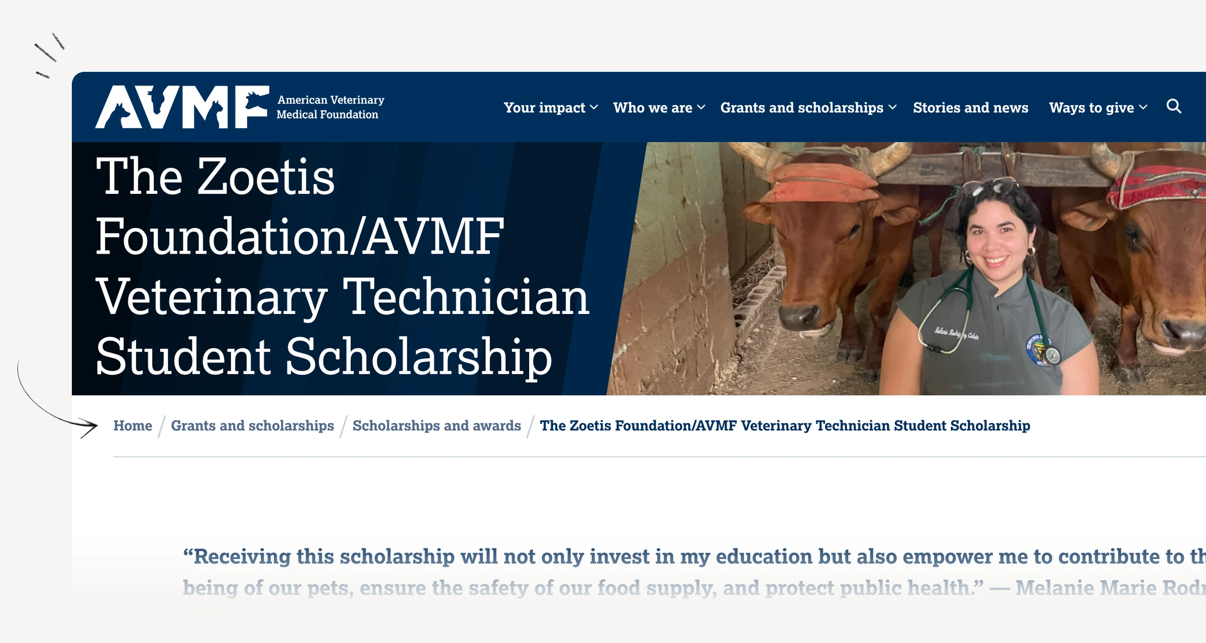 AVMF veterinary technician scholarship eligibility and its displayed application deadline.
